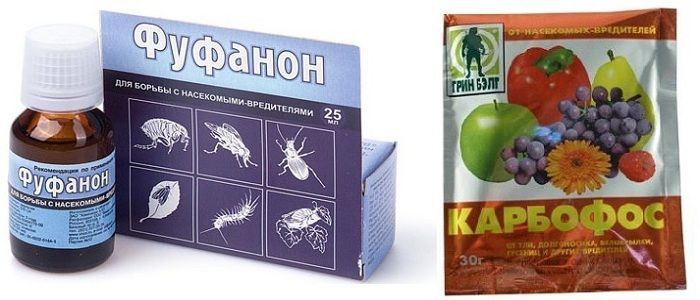 Фуфанон карбофос