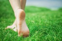 Клещевой энцефалит — картина симптомов, лечение, статистика, защита